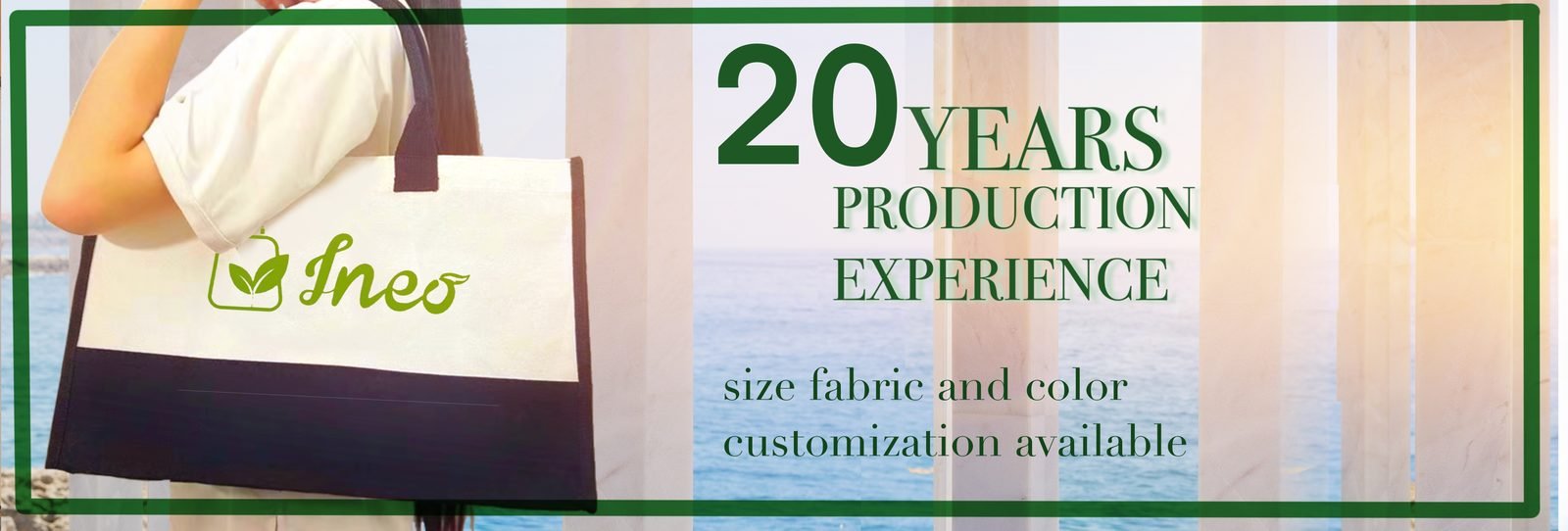 20 years of production experience — INEO